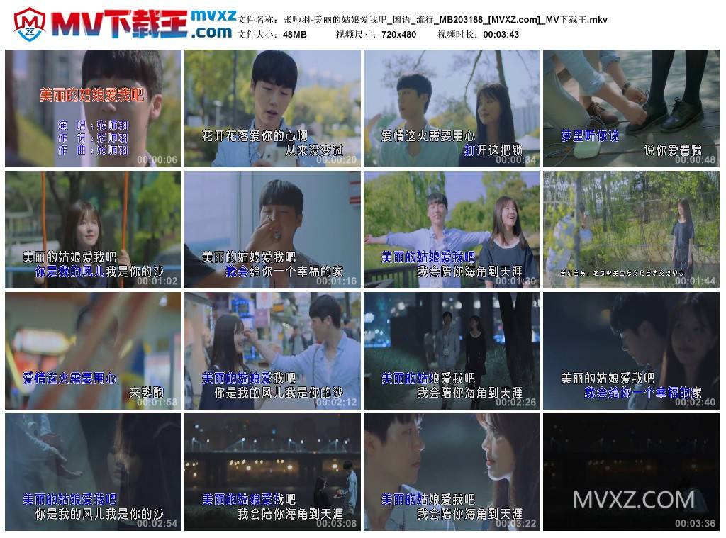 张师羽-美丽的姑娘爱我吧_国语_流行_MB203188